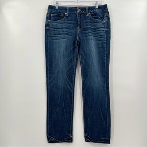 American Eagle Outfitters Dark Blue Straight Leg Jeans